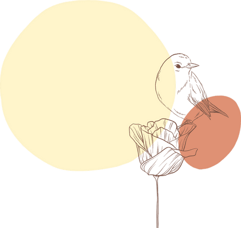 Charming bird perching on abstract flower with transparent background