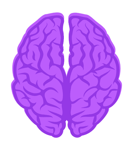 stylized purple brain illustration on transparent background - Download Free Stock Videos Pikwizard.com