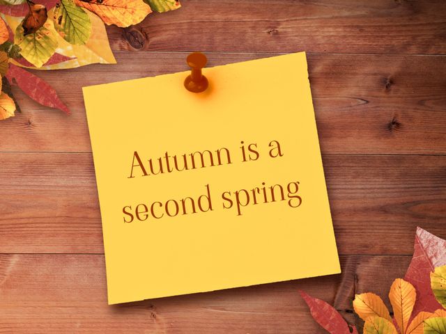 Perfect for seasonal promotions, autumn-themed blog posts, social media content, and inspirational quotes. Enhances the feeling of coziness and renewal associated with fall. Ideal for use in posters, greeting cards, website banners, and home decor inspiration.