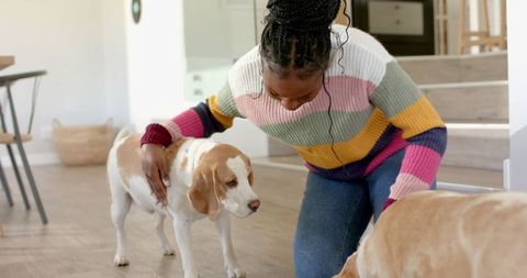 Woman with Colorful Sweater Caring for Dogs Indoors