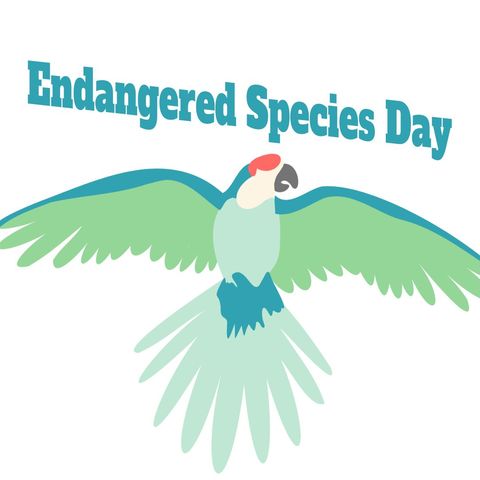 vibrant parrot illustration for endangered species awareness - Download Free Stock Templates Pikwizard.com