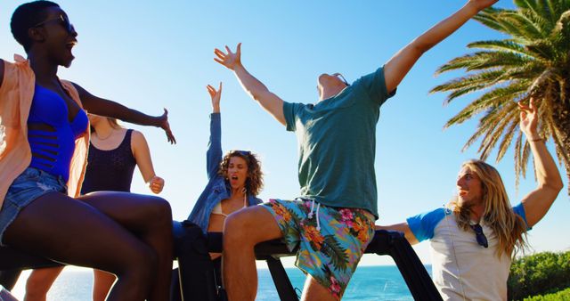 Group of Friends Celebrating Summer Vacation Outdoors - Download Free Stock Images Pikwizard.com