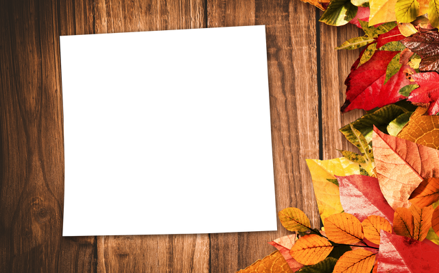 Transparent Black Frame Empty Paper Held by Nature Autumn Leaves Display - Download Free Stock Videos Pikwizard.com