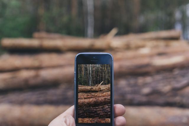 Hand holding smartphone capturing image of stacked logs in forest. Concept of combining technology with nature. Suitable for use in subjects around photography, digital devices, nature activities, and logging industry.