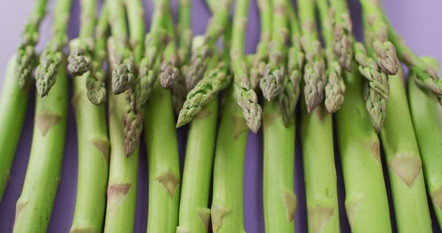 Image of close up of fresh asparagus over lilac background. fusion food, fresh vegetables and healthy eating concept.