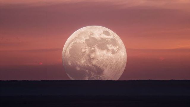 Giant full moon rising over flat horizon at twilight with pastel pink and orange sky