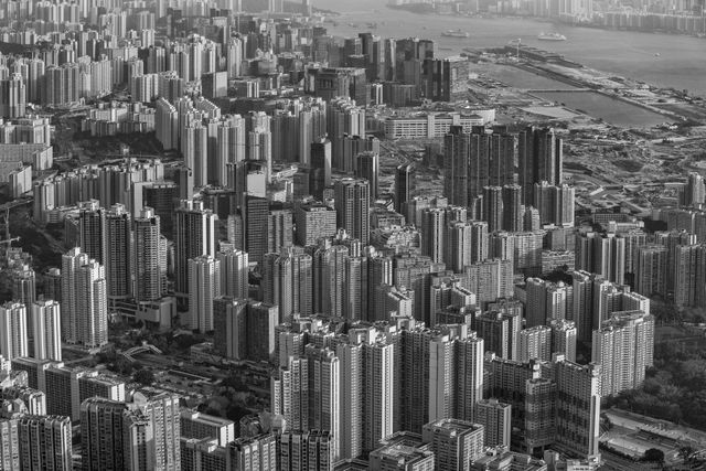 Shows dense skyscrapers characterizing an urban cityscape. Monochromatic effect emphasizes architectural elements and city layout. Useful for urban planning discussions, architectural studies, or presentations exploring metropolis living challenges and solutions.