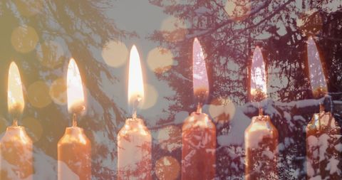 Warm candlelight glows through snowy forest