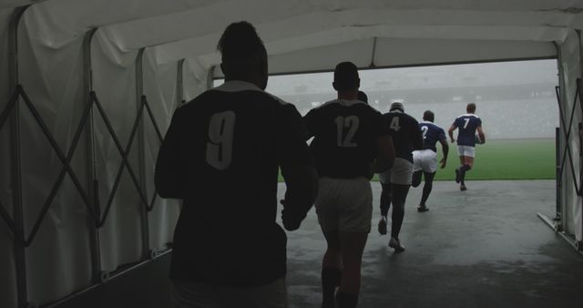 Rugby Players Running Onto Foggy Stadium Field from Tunnel - Download Free Stock Images Pikwizard.com