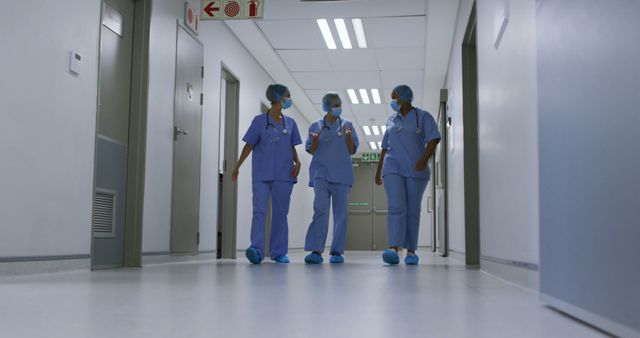 Team of Healthcare Workers Walking in Hospital Hallway - Download Free Stock Images Pikwizard.com