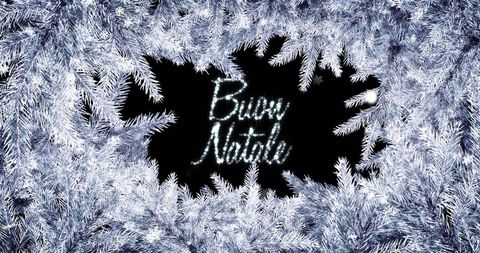 Buon Natale Greeting Framed by Frosty Fir Tree Branches