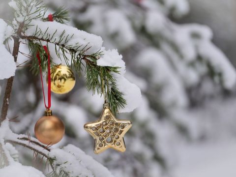 Festive Christmas Tree Branch with Golden Ornaments and Snow