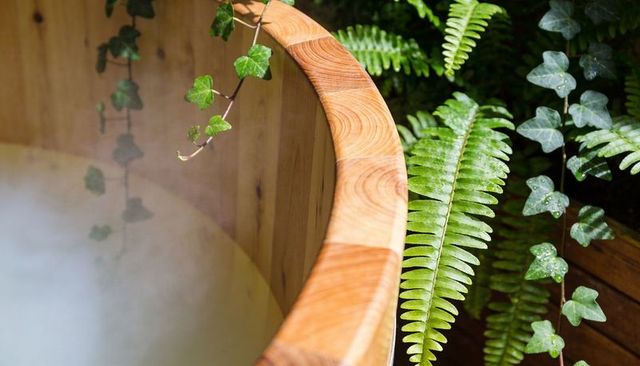 Steaming wooden soaking tub rim nestled in lush garden with ferns, ivy and dew
