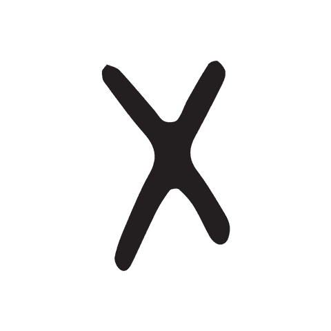 bold black x symbol on transparent background vector - Download Free Stock Videos Pikwizard.com