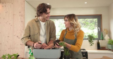 Couple joyfully repotting houseplants together in well-lit modern kitchen