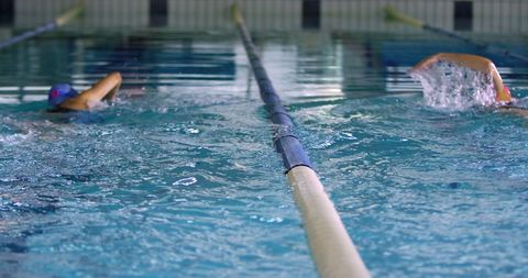 Competitive Swimmers Racing in an Indoor Pool - Download Free Stock Images Pikwizard.com