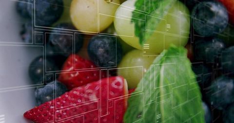 Healthy Organic Fruits with Abstract Technology Overlay
