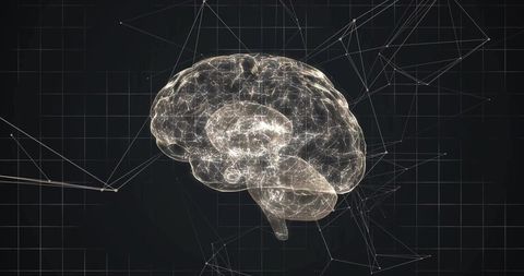 Holographic Brain Model with Neural Network Connections