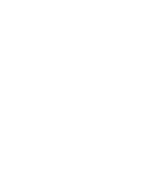 Silhouette of Male American Football Player on Transparent Background for Sport Concepts - Download Free Stock Videos Pikwizard.com