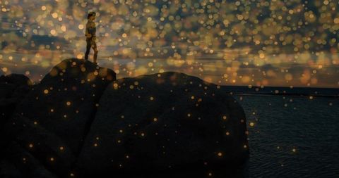 Silhouette of Woman at Bouldery Lakeshore with Bokeh at Dusk