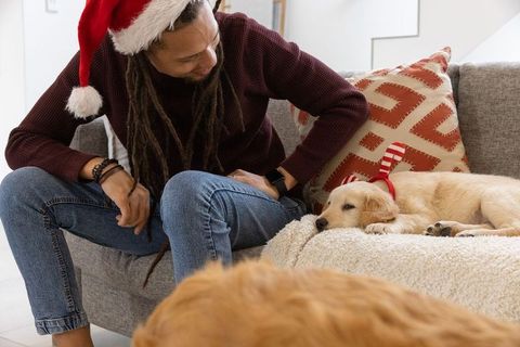 Man wearing santa hat cuddling golden retriever puppy on cozy sofa during christmas
