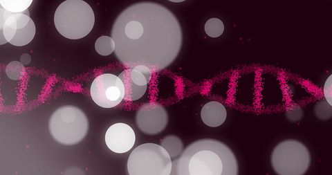 DNA Strand with Bokeh Lights on Dark Background - Download Free Stock Images Pikwizard.com