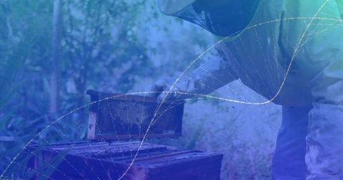Beekeeper inspecting honeycomb under mesh veil