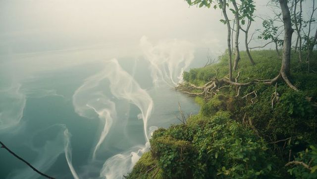 Ethereal Mist Ascending Over Serene Lakeside with Lush Vegetation