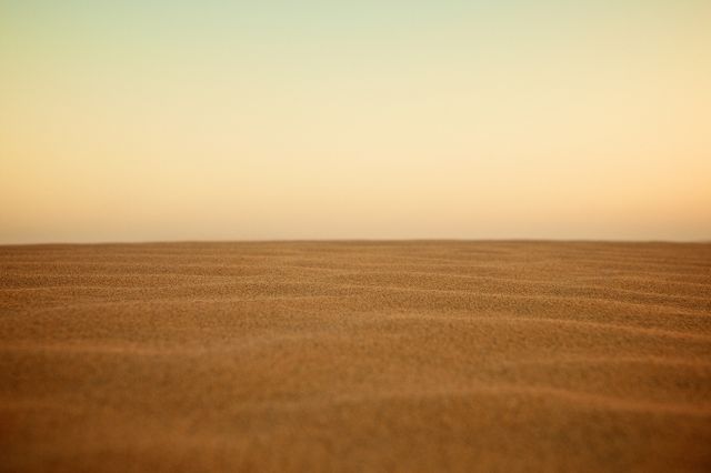 Empty golden sand dunes under a clear sky during sunrise. This minimalistic landscape conveys a sense of tranquility and vastness, ideal for projects that need a serene, nature-focused theme. Perfect for use in travel brochures, relaxation apps, desktop wallpapers, or environmental campaigns.