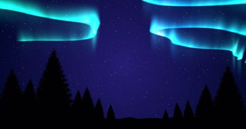 Aurora Borealis Over Snow-Covered Fir Trees in Winter Sky