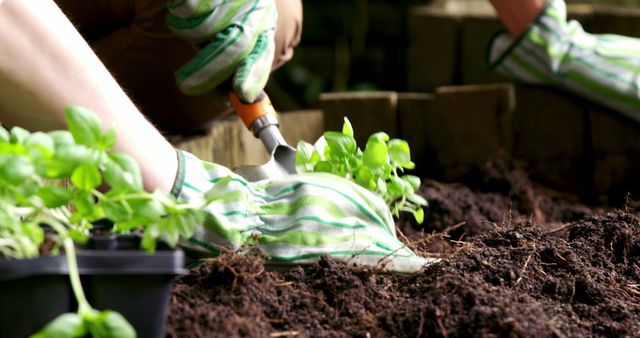 Gloved hands carefully tend to young plants in a garden, with copy space. Gardening promotes a connection with nature and provides a sense of accomplishment as one nurtures plant growth.