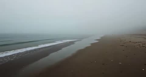 Gentle Waves on Misty Beach with Reflections and Shells