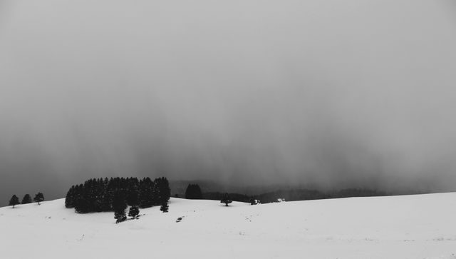 A dramatic and moody black and white winter landscape features a snow-covered field with a cluster of trees in the distance shrouded by stormy weather. This captivating winter scene can be ideal for use in projects related to nature, weather, loneliness, or as a backdrop for motivational and inspirational themes contrasting the solitude of winter wilderness.