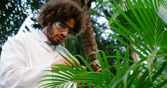 Scientist wearing lab coat and protective eyewear researching plants in a lush tropical forest. Ideal for use in articles about environmental science, botany, ecological research, and conservation efforts.