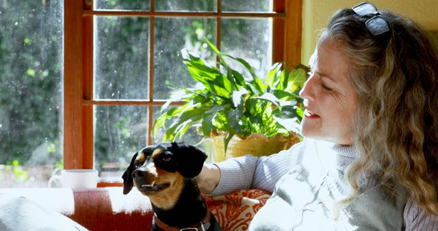 Senior woman enjoying sunlight and relaxing next to a dog near a window. Ideal for use in articles or advertisements about pets, seniors, lifestyle, home comfort, or mental well-being. Can also be used for conveying positive and peaceful moments at home.