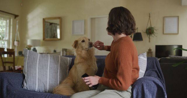 A woman is giving a treat to her golden retriever while sitting on a sofa in a cozy living room. The scene expresses domestic warmth and the bond between a pet owner and their dog. The background features home décor, including framed art and potted plants, adding to the homey atmosphere. Ideal for use in content related to pet care, home life, and products featuring human-animal relationships.