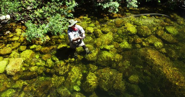 Man Fly Fishing in Crystal Clear Stream Surrounded by Greenery - Download Free Stock Images Pikwizard.com