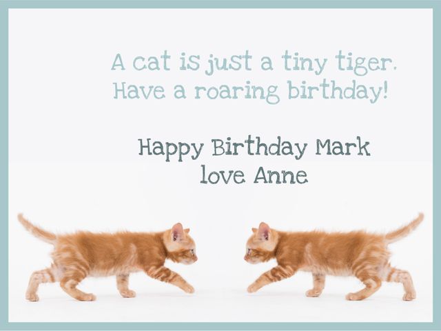 Playful Kittens and Birthday Message with Heartfelt Wishes - Download Free Stock Templates Pikwizard.com