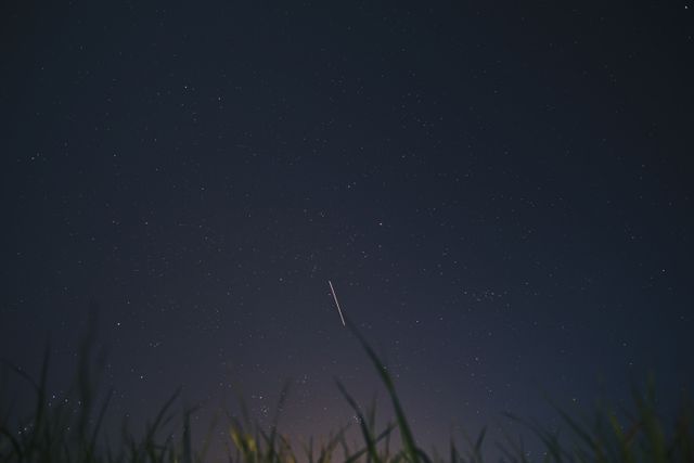 Shooting Star in Clear Night Sky Over Tall Grass - Download Free Stock Photos Pikwizard.com