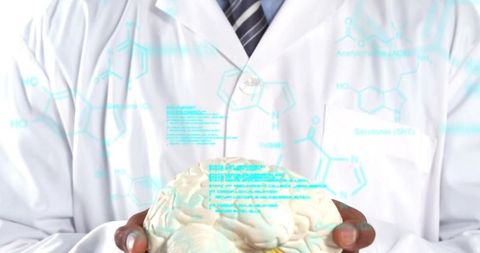 Scientist holding brain model with molecular diagrams