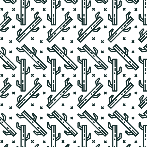 Seamless Cactus Pattern on Transparent Background - Download Free Stock Videos Pikwizard.com