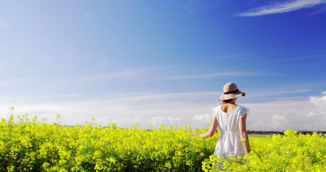 Woman in White Dress Strolling through Yellow Flower Field - Download Free Stock Images Pikwizard.com