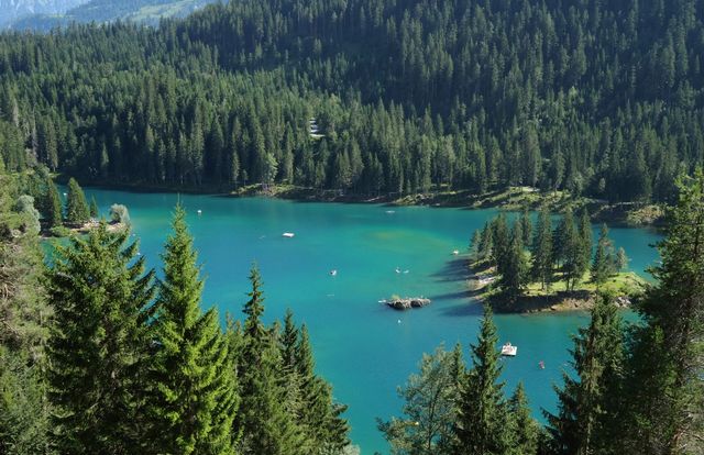 Beautiful image of a tranquil alpine lake surrounded by dense evergreen forest and turquoise waters. Ideal for travel promotions, nature blogs, outdoor adventure content, and eco-friendly tourism campaigns. Perfect for use in background designs, environmental education materials, and relaxation themes.