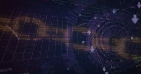 Digital Data and Network Connection Visualization