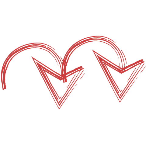 Red Double Arrows on Transparent Background Illustration - Download Free Stock Videos Pikwizard.com