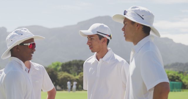 Team of Cricket Players Having a Discussion on Field - Download Free Stock Images Pikwizard.com