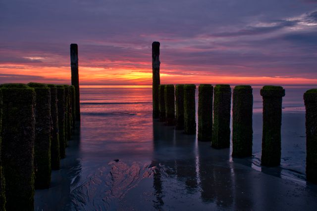 Stunning Ocean Sunset with Sea Breakwater Wooden Posts - Download Free Stock Photos Pikwizard.com