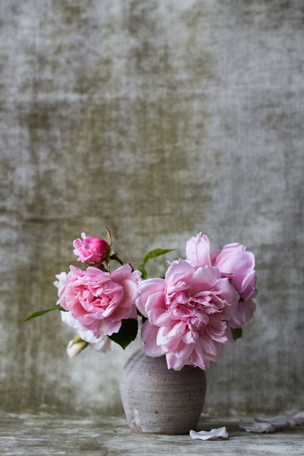 This charming image of a small ceramic vase filled with pink peonies is perfect for use in floral-themed designs, romantic greeting cards, or shabby chic home decor inspiration. The rustic background adds a vintage touch, making it suitable for country-style and garden party invitations.