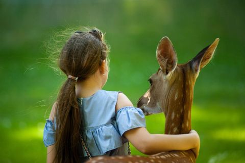Young Girl Embracing Fawn in Sunlit Meadow, Child Bonding with Deer, Nature Friendship