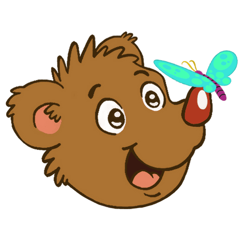 cute bear gazing at butterfly illustration on transparent background - Download Free Stock Videos Pikwizard.com